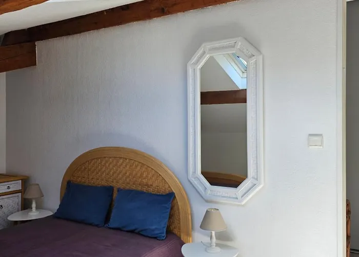 Suquet - 100m & Palais Des Festivals 600m * 戛纳